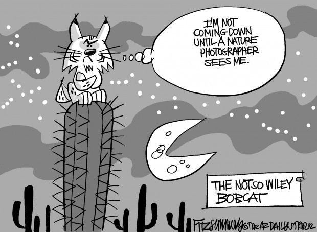 Fitz's last laugh: Wiley Bobcat